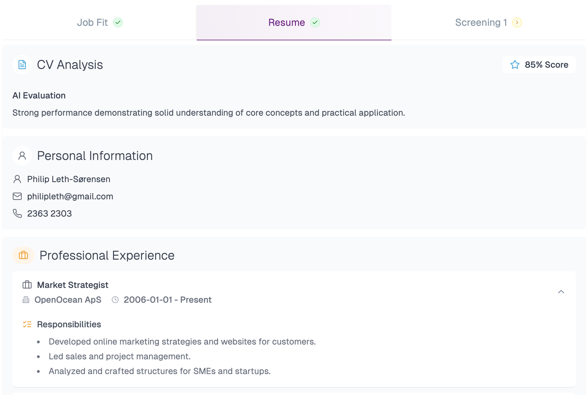 AI CV-Analyse Visualisering